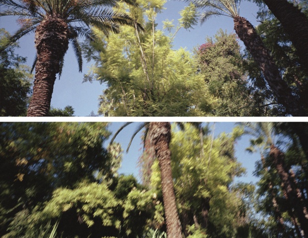 Jardin de Majorelle, Novembre 1991<br />