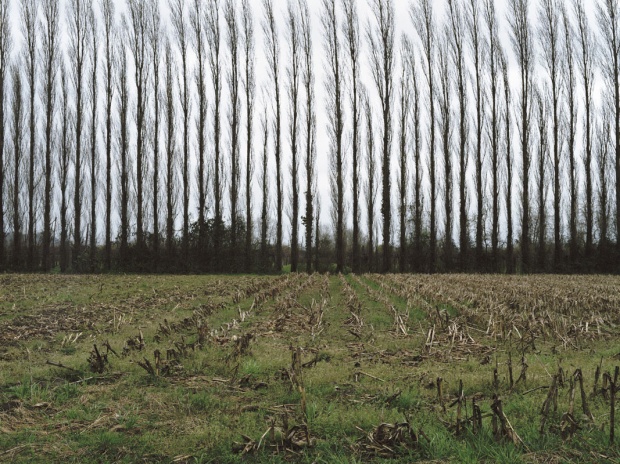 PAYSAGE/PAISATGE
<br />Tirage chromogène format 30 x 40 cm<br />
